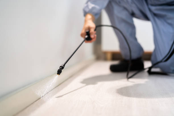 Professional exterminator conducting IPM assessment in Pulaski